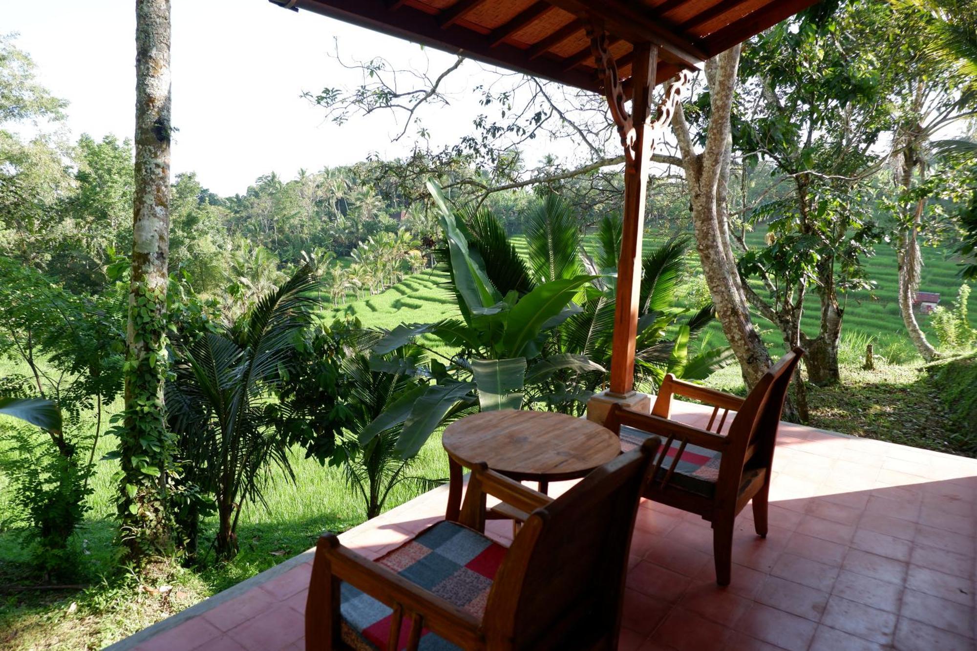 Country house Saridevi
